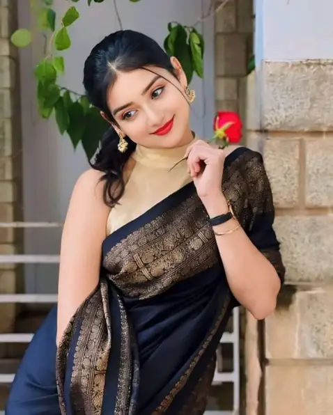 VIP Call Girl Chandigarh
